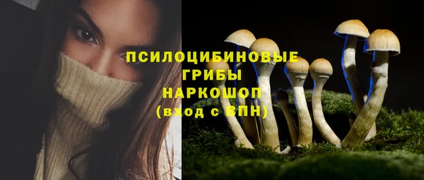 героин Абаза