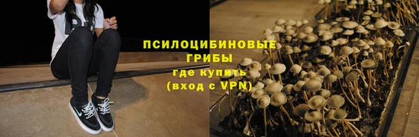 спайс Алзамай